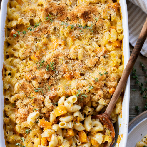 This Cheesy Butternut Squash Pasta Bake is the perfect vegan holiday casserole! Made with a dairy-free cheese sauce & tender squash pieces | ThisSavoryVegan.com