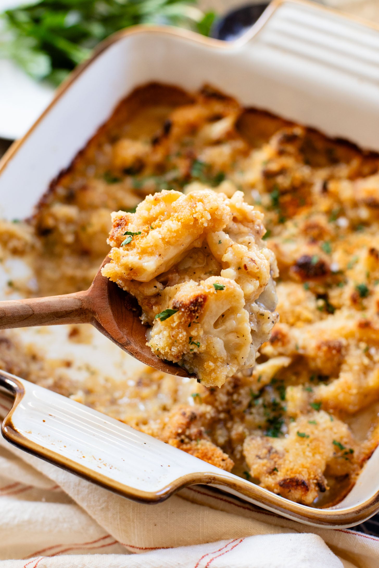 This Vegan Cheesy Cauliflower Bake is the perfect holiday side dish - and a sneaky way to get kids to eat veggies! Creamy, dairy-free & delish | ThisSavoryVegan.com