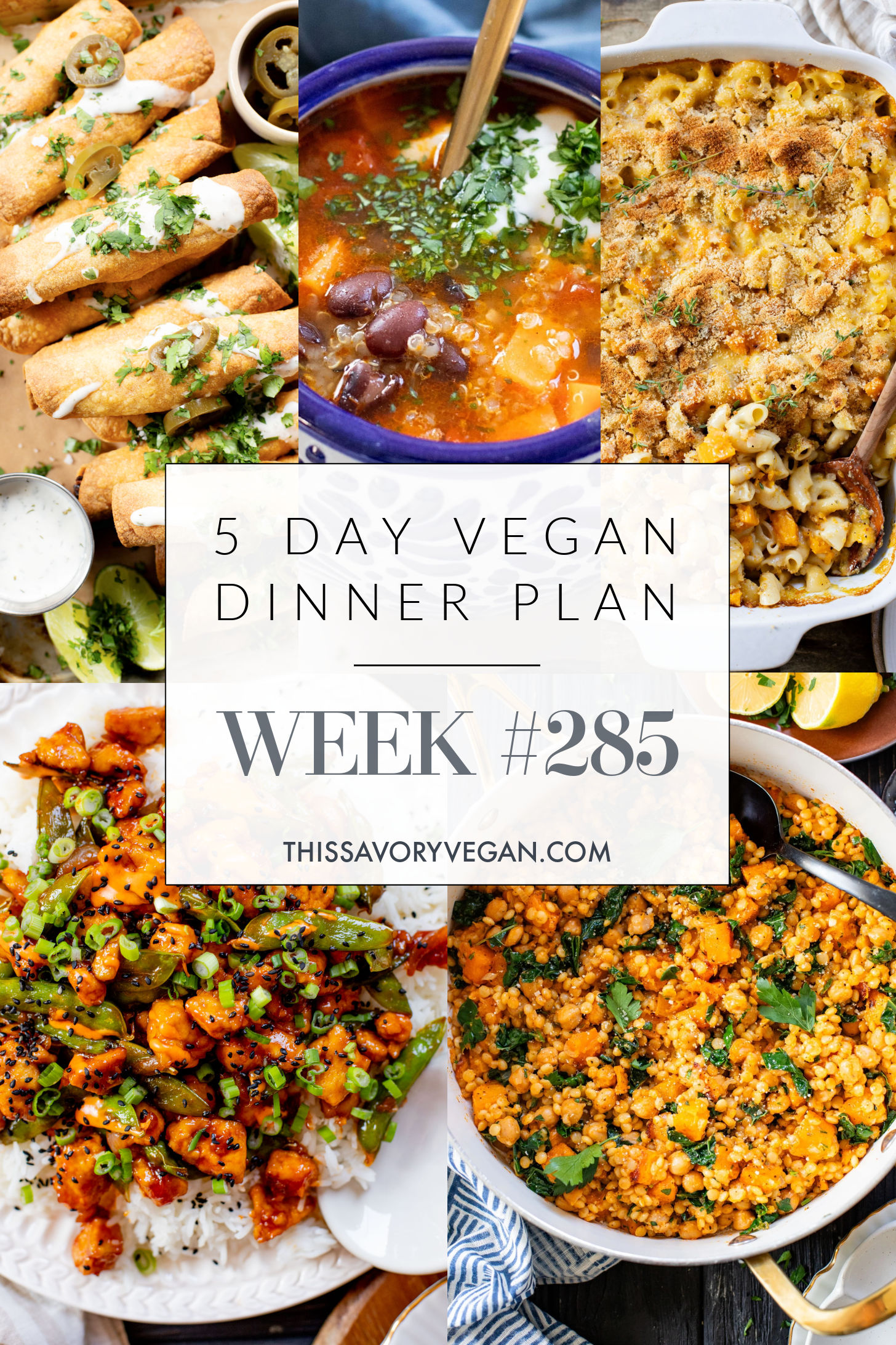 Not sure what to make for dinner this week? I have you covered with 5 simple & delicious vegan dinner ideas! | Vegan Dinner Plan #285 | ThisSavoryVegan.com