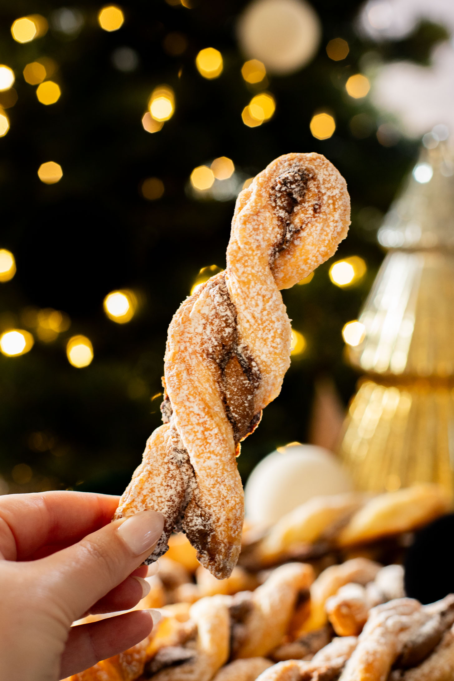 These Chocolate Cookie Butter Twists are the perfect holiday sweet treat. Dairy-free and totally tasty dessert idea | ThisSavoryVegan.com