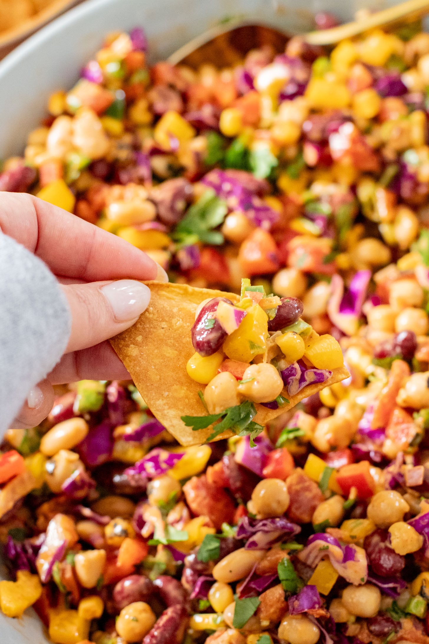 A great way to get plant protein & veggies in, this Southwest Dense Bean Salad is not only healthy it is super tasty. Perfect for meal prep | ThisSavoryVegan.com