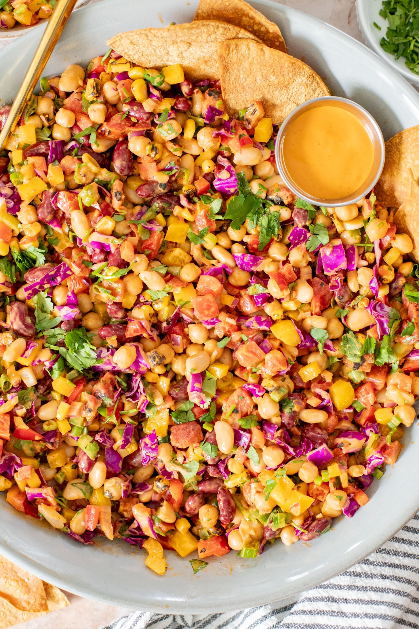A great way to get plant protein & veggies in, this Southwest Dense Bean Salad is not only healthy it is super tasty. Perfect for meal prep | ThisSavoryVegan.com