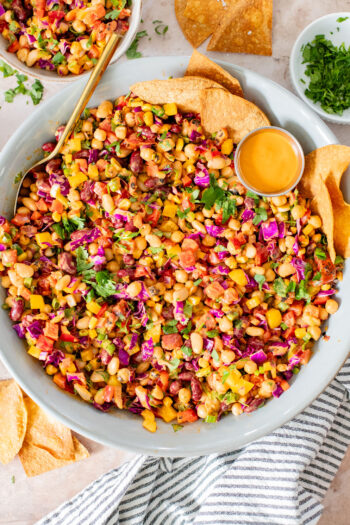 A great way to get plant protein & veggies in, this Southwest Dense Bean Salad is not only healthy it is super tasty. Perfect for meal prep | ThisSavoryVegan.com