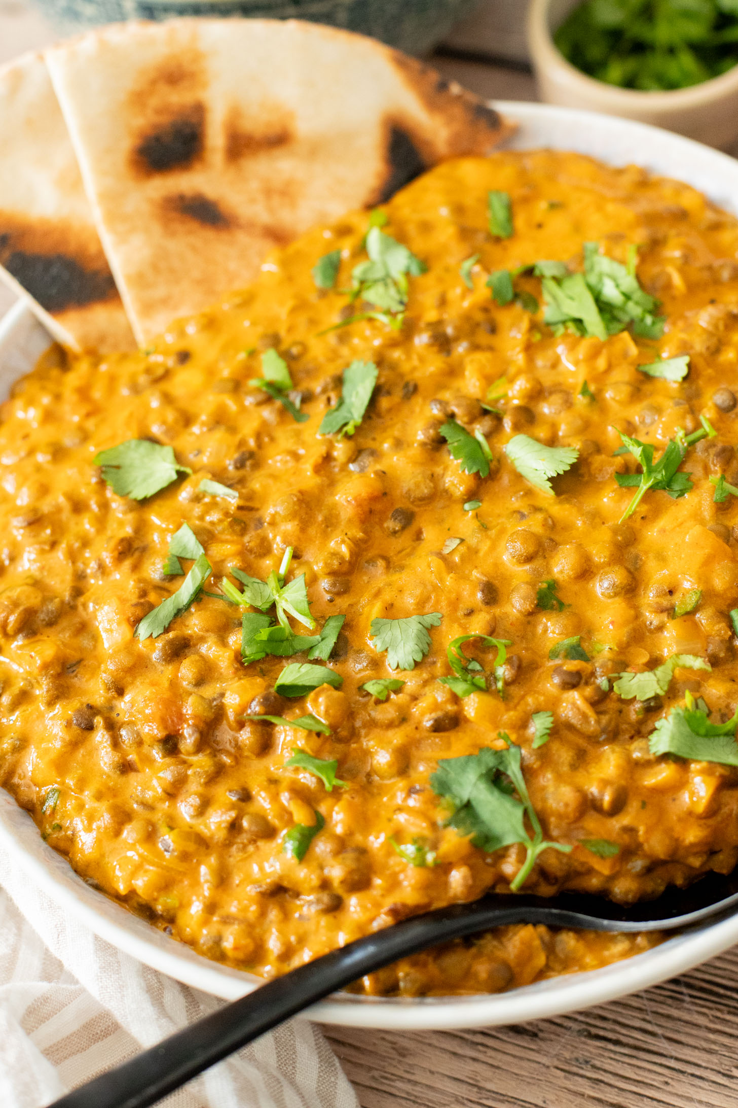 Looking for a quick & healthy weeknight dinner? These 20-Minute Red Curry Lentils are the perfect one-pot vegan dinner idea | ThisSavoryVegan.com