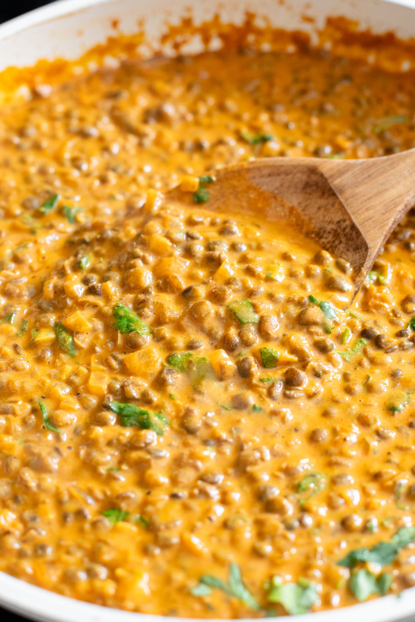 Looking for a quick & healthy weeknight dinner? These 20-Minute Red Curry Lentils are the perfect one-pot vegan dinner idea | ThisSavoryVegan.com
