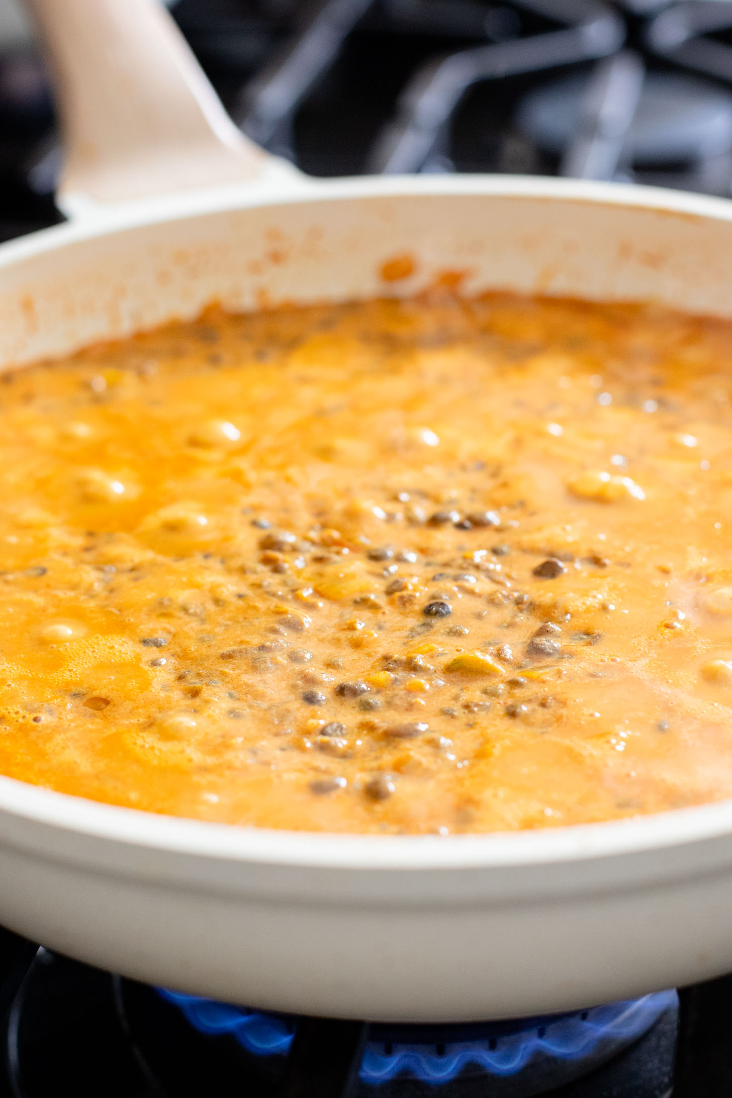 Looking for a quick & healthy weeknight dinner? These 20-Minute Red Curry Lentils are the perfect one-pot vegan dinner idea | ThisSavoryVegan.com
