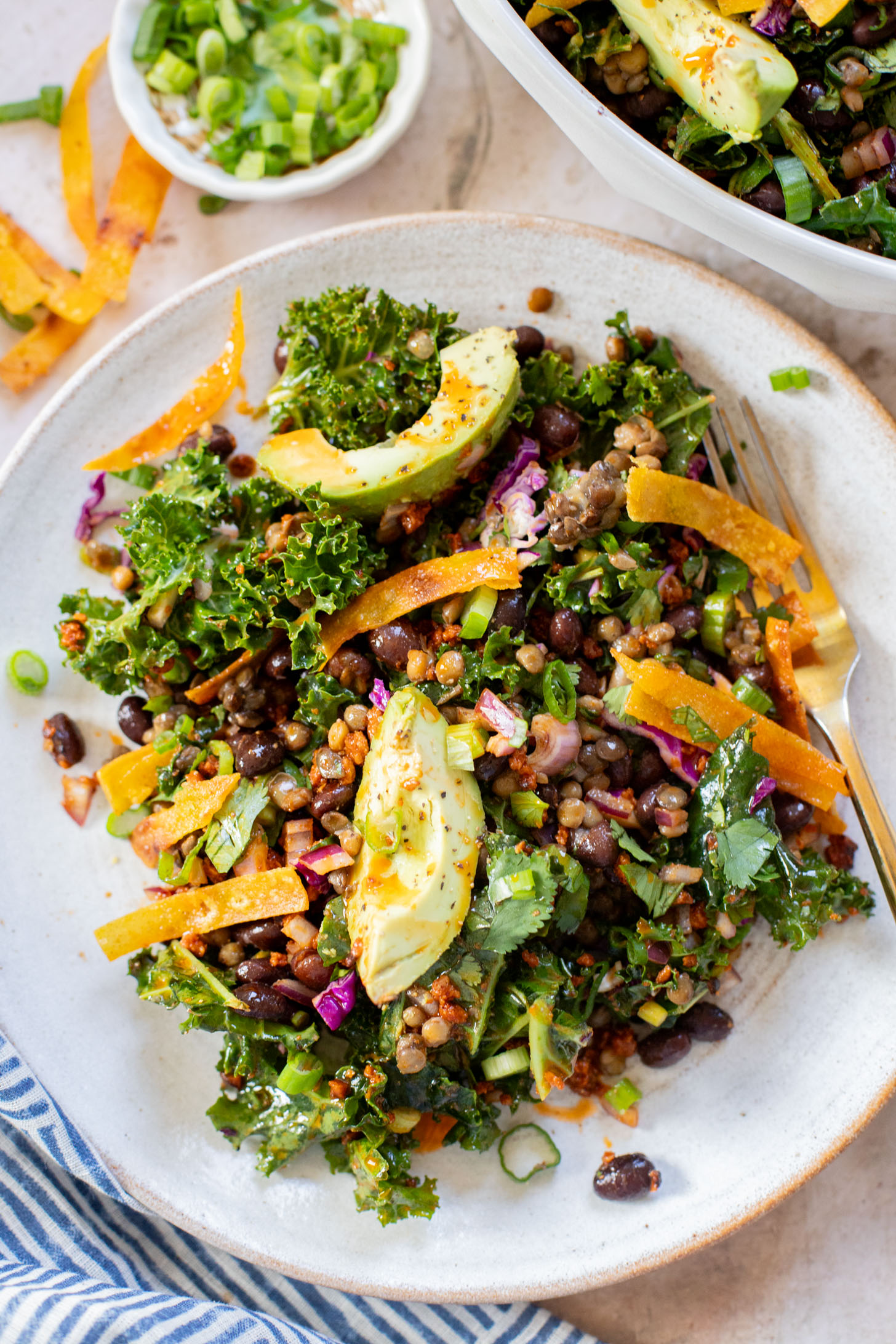 This Lentil & Bean Taco Salad is filled with kale, soy chorizo, greens, lentils & beans. All tossed in a zesty chipotle dressing | ThisSavoryVegan.com