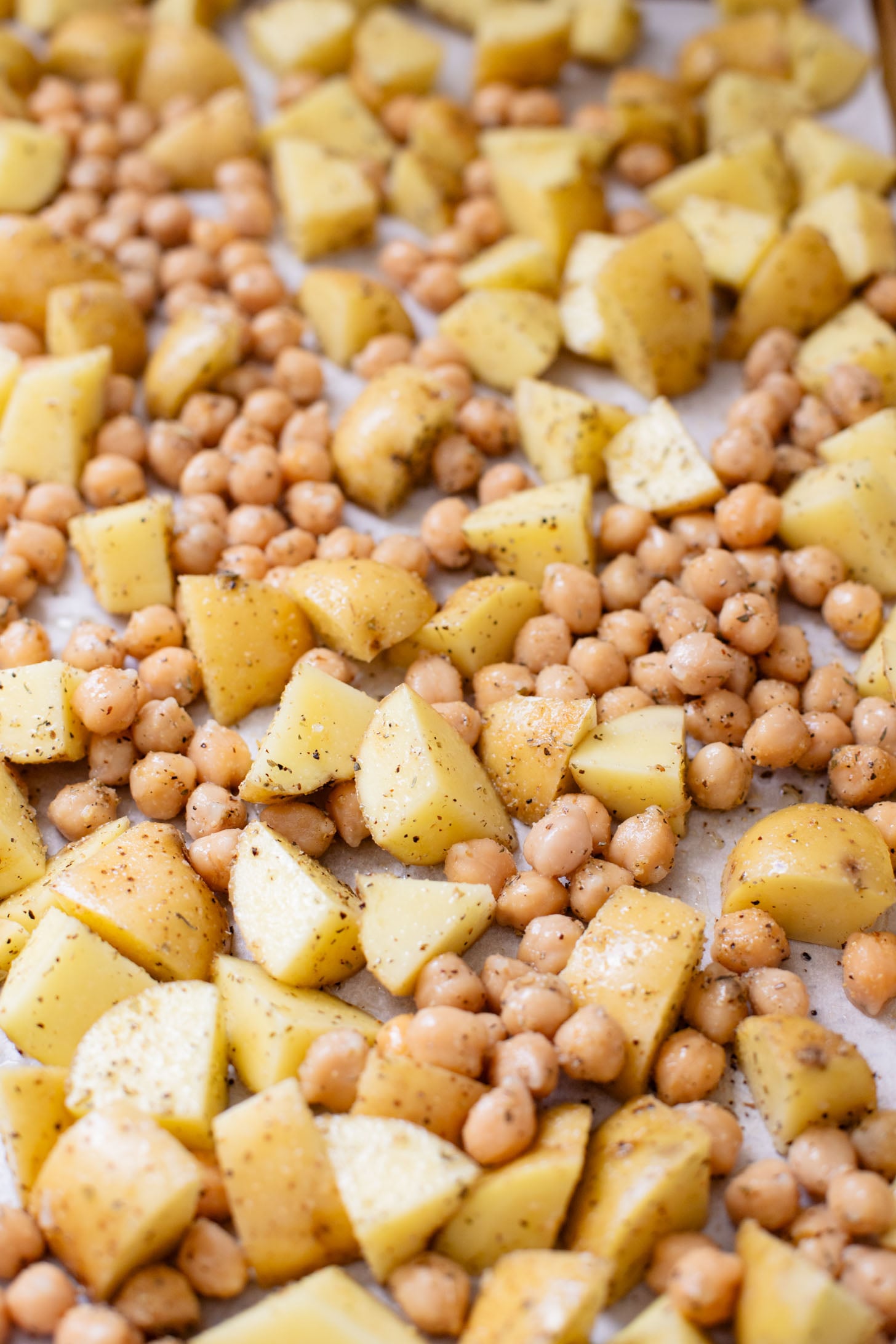 These Roasted Potato & Chickpea Bowls are a simple vegan dinner! Served over cauliflower rice with a dairy-free jalapeño ranch | ThisSavoryVegan.com