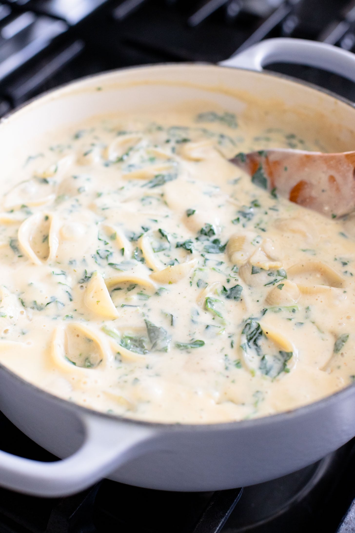This Creamy Spinach Tofu Shells recipe is a comforting vegan pasta that sneaks in protein & veggies. Made in one pot for easy clean up | ThisSavoryVegan.com