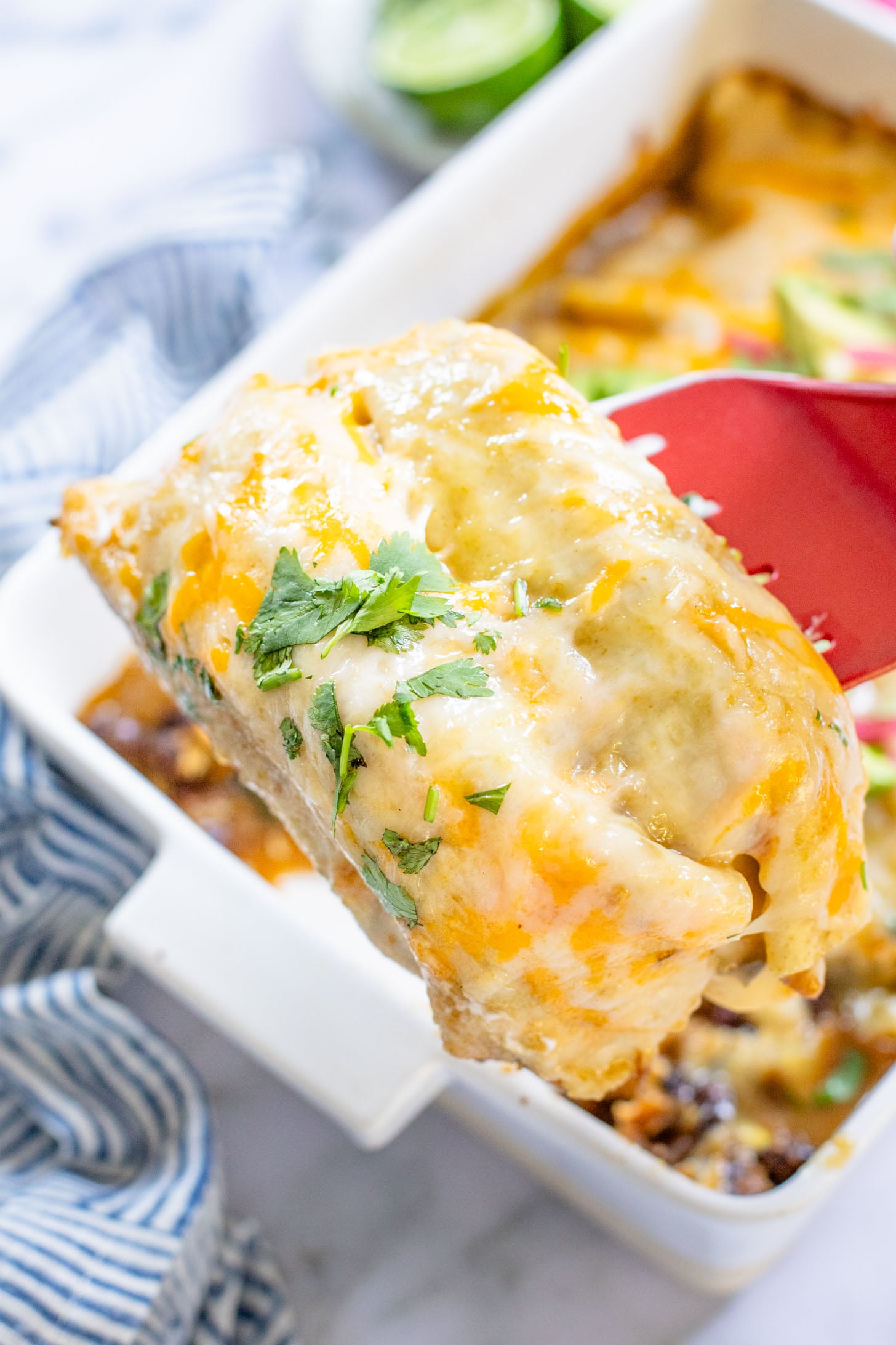 These Black Bean & Zucchini Enchiladas are the perfect way to use up summer zucchini. These enchiladas are dairy-free and delicious | ThisSavoryVegan.com