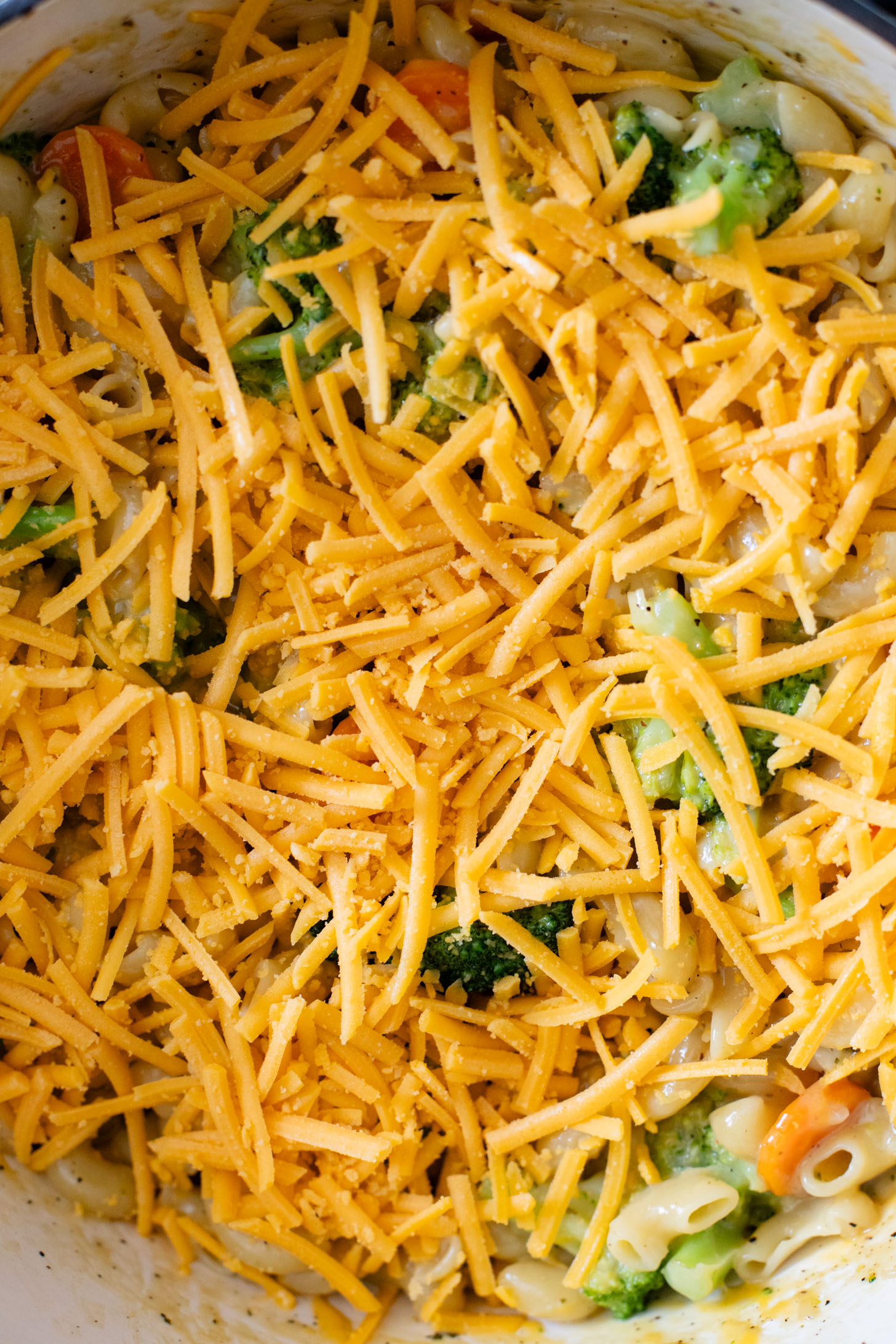 This Vegan Broccoli & Cheddar Noodle Casserole is the ultimate comfort food! The perfect family dinner or holiday side dish | ThisSavoryVegan.com