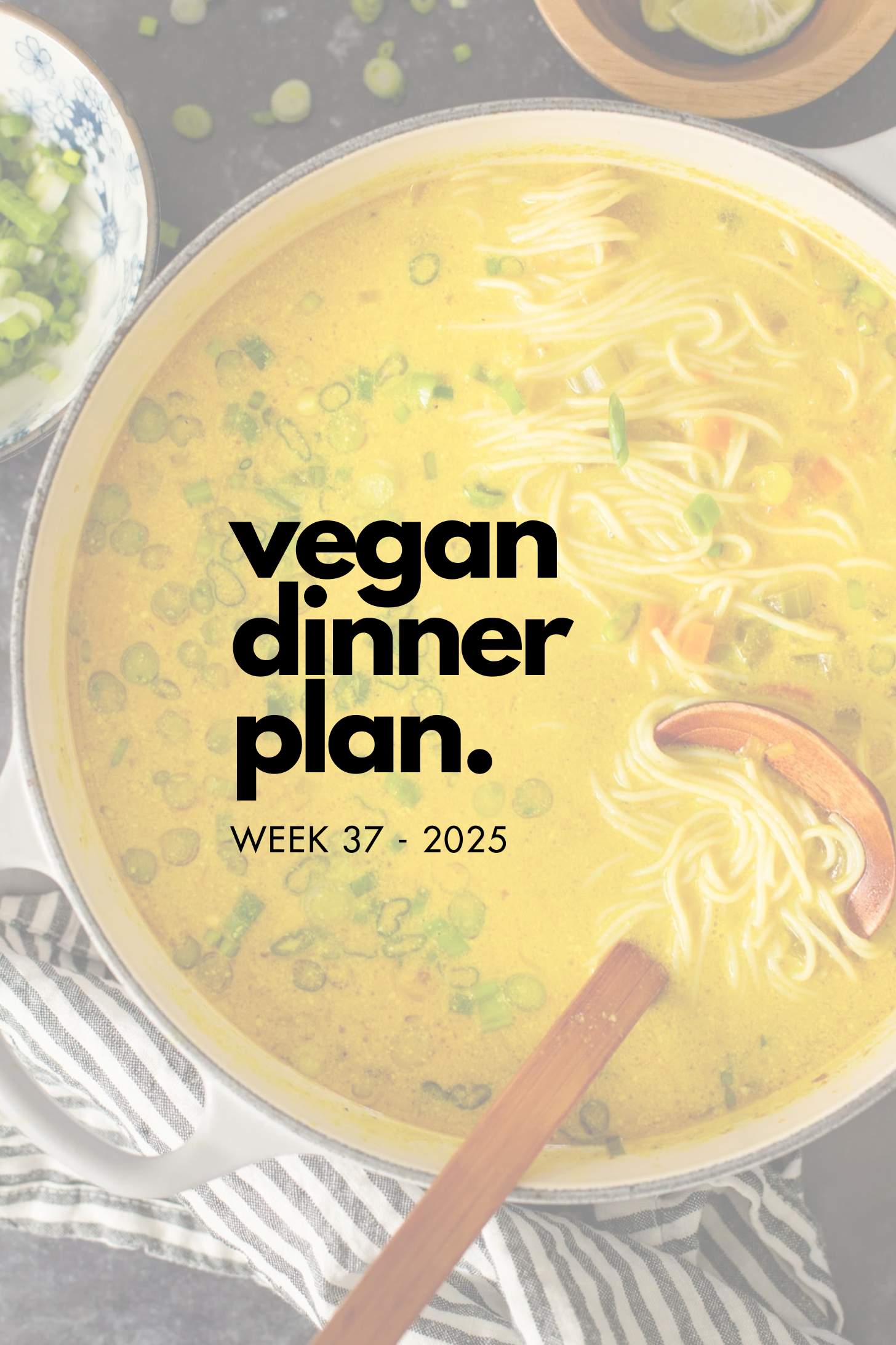 Make your life easier and use my weekly vegan dinner plans! Five nights of vegan dinner recipes and a grocery list released every Saturday | ThisSavoryVegan.com
