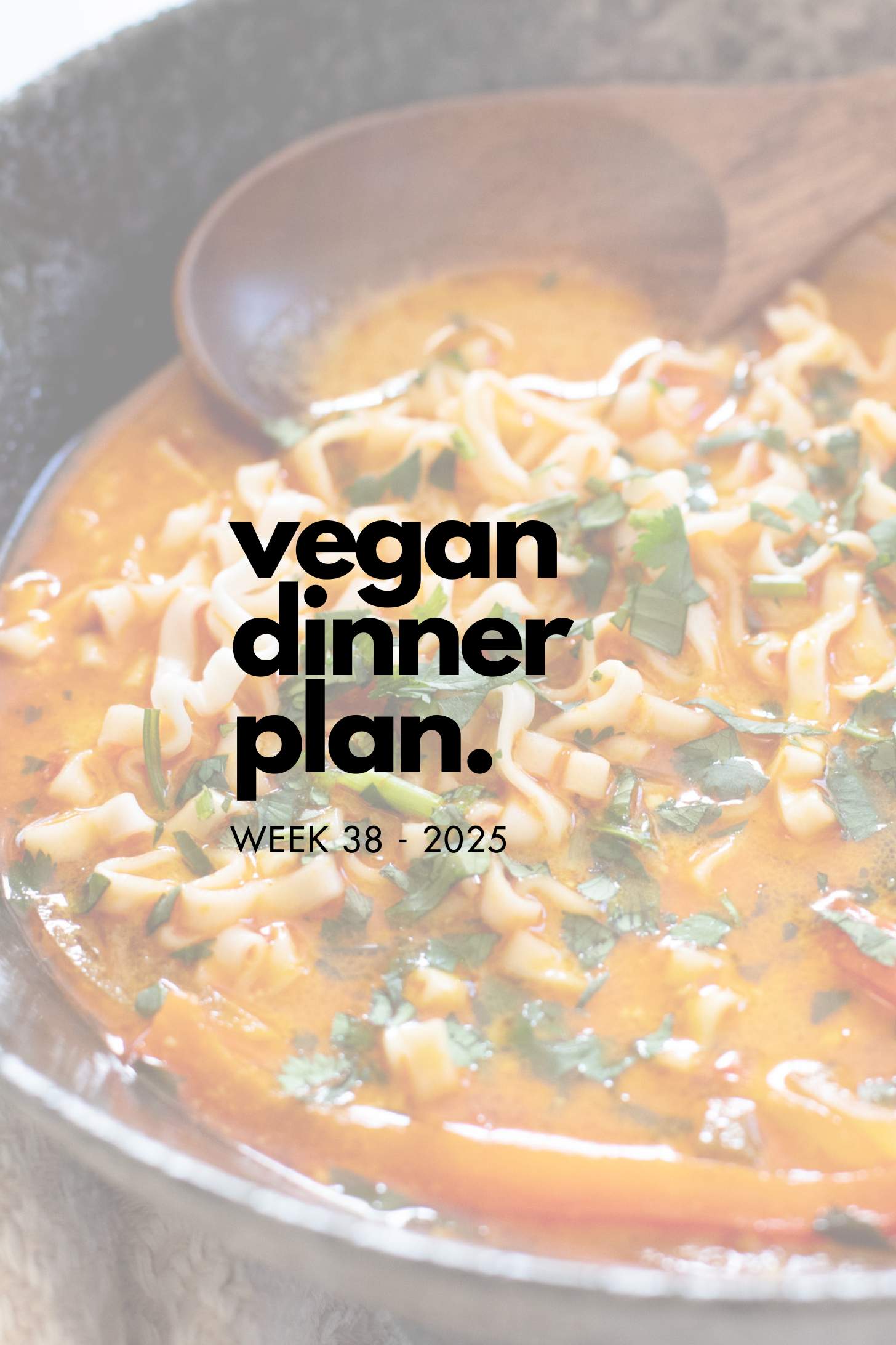 Make your life easier and use my weekly vegan dinner plans! Five nights of vegan dinner recipes and a grocery list released every Saturday | ThisSavoryVegan.com
