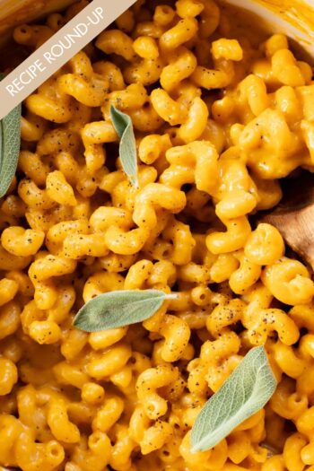 20 Butternut Squash Recipes to Make this Fall - from creamy pastas to fun pizzas, there are so many great ways to use butternut squash | ThisSavoryVegan.com