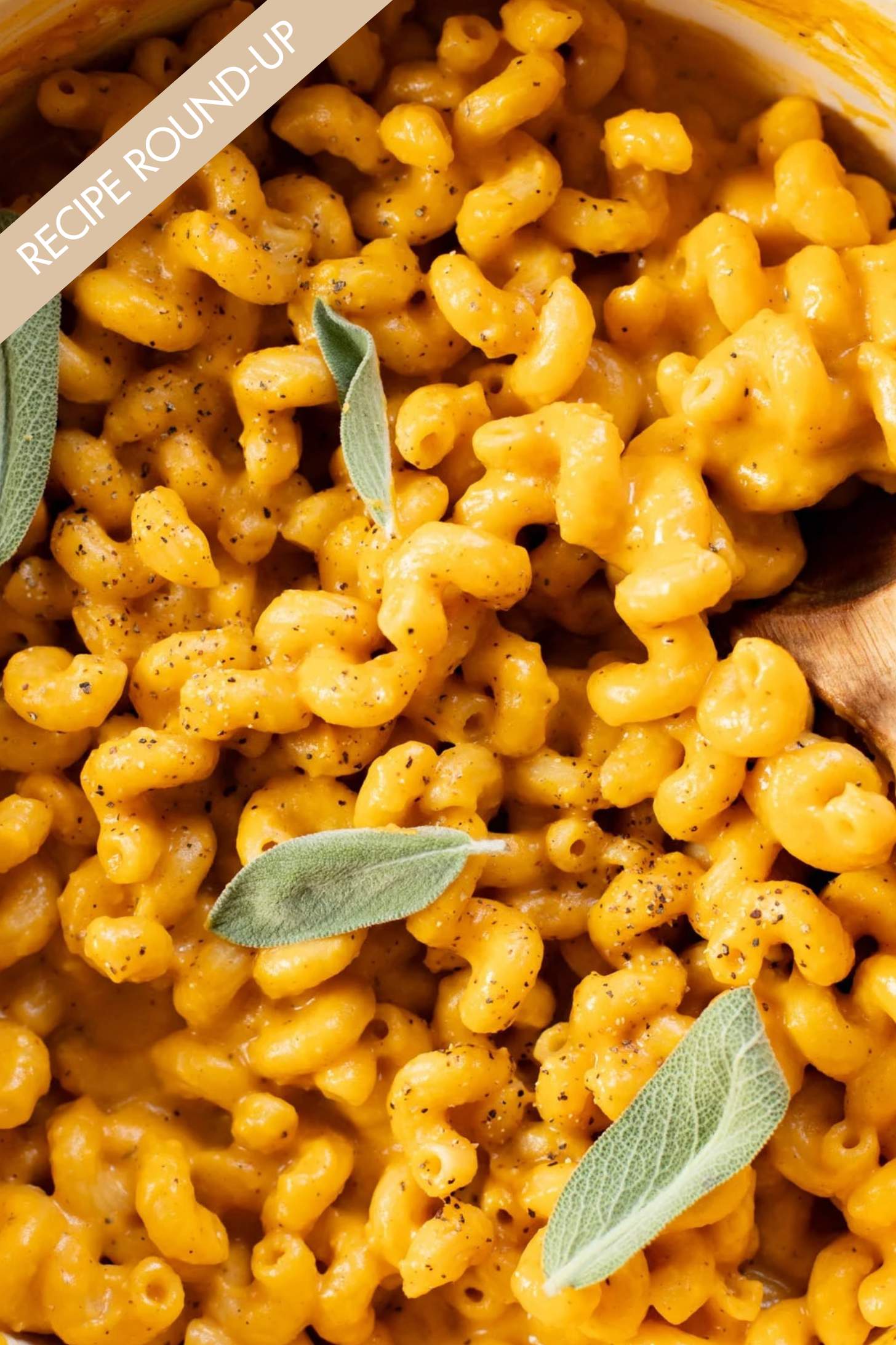 20 Butternut Squash Recipes to Make this Fall - from creamy pastas to fun pizzas, there are so many great ways to use butternut squash | ThisSavoryVegan.com
