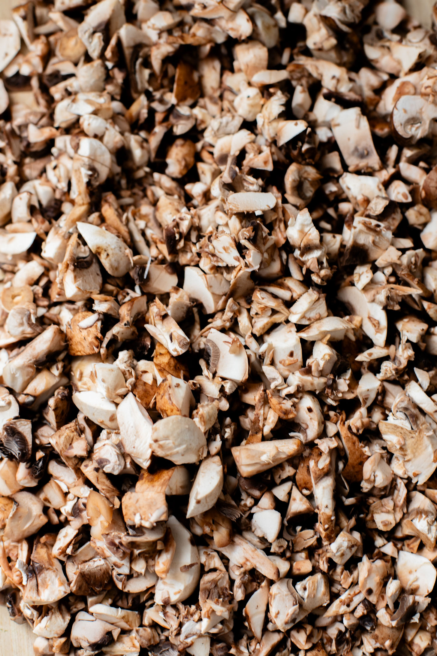 This Sunday Night Mushroom Ragu is the perfect recipe to have on the stove all day. The cooked down mushrooms give this sauce a meaty texture | ThisSavoryVegan.com