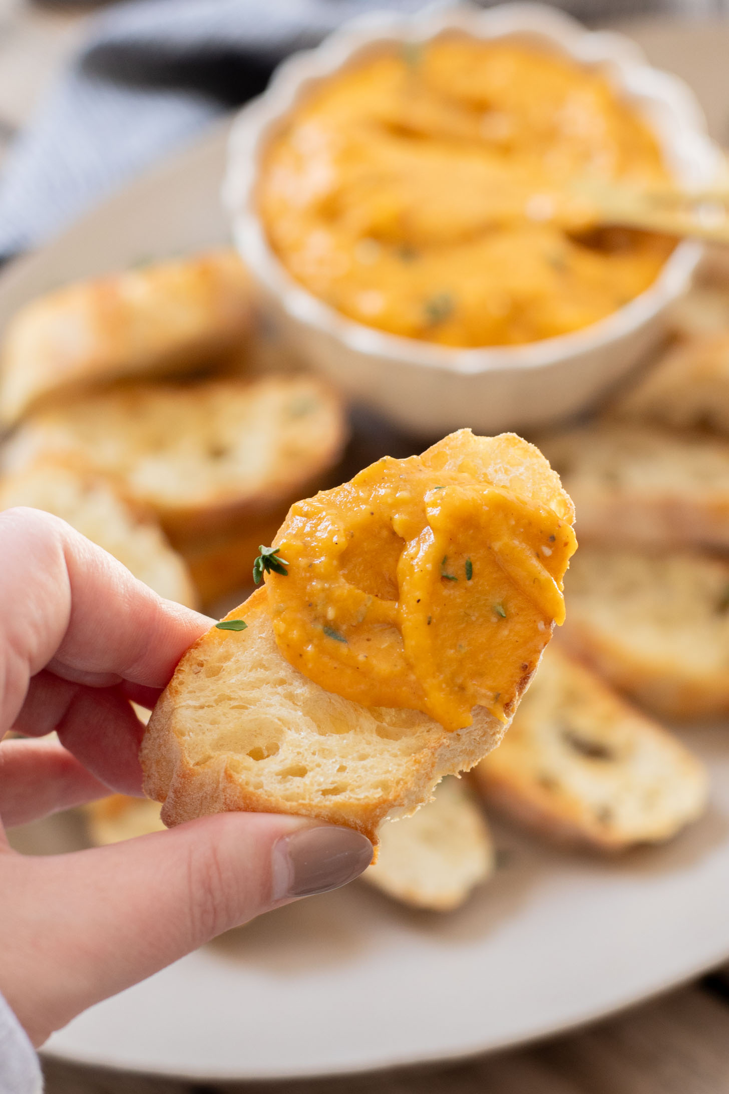 This Cheesy Butternut Squash Dip is a super delicious vegan appetizer. A great addition to your holiday menu | ThisSavoryVegan.com