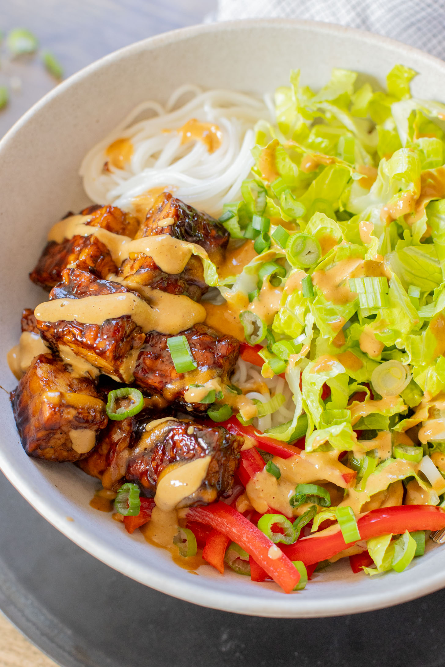 These Hoisin Tempeh Peanut Noodle Bowls are the perfect quick dinner! Crispy tempeh, rice noodles, veggies and the BEST peanut sauce | ThisSavoryVegan.com