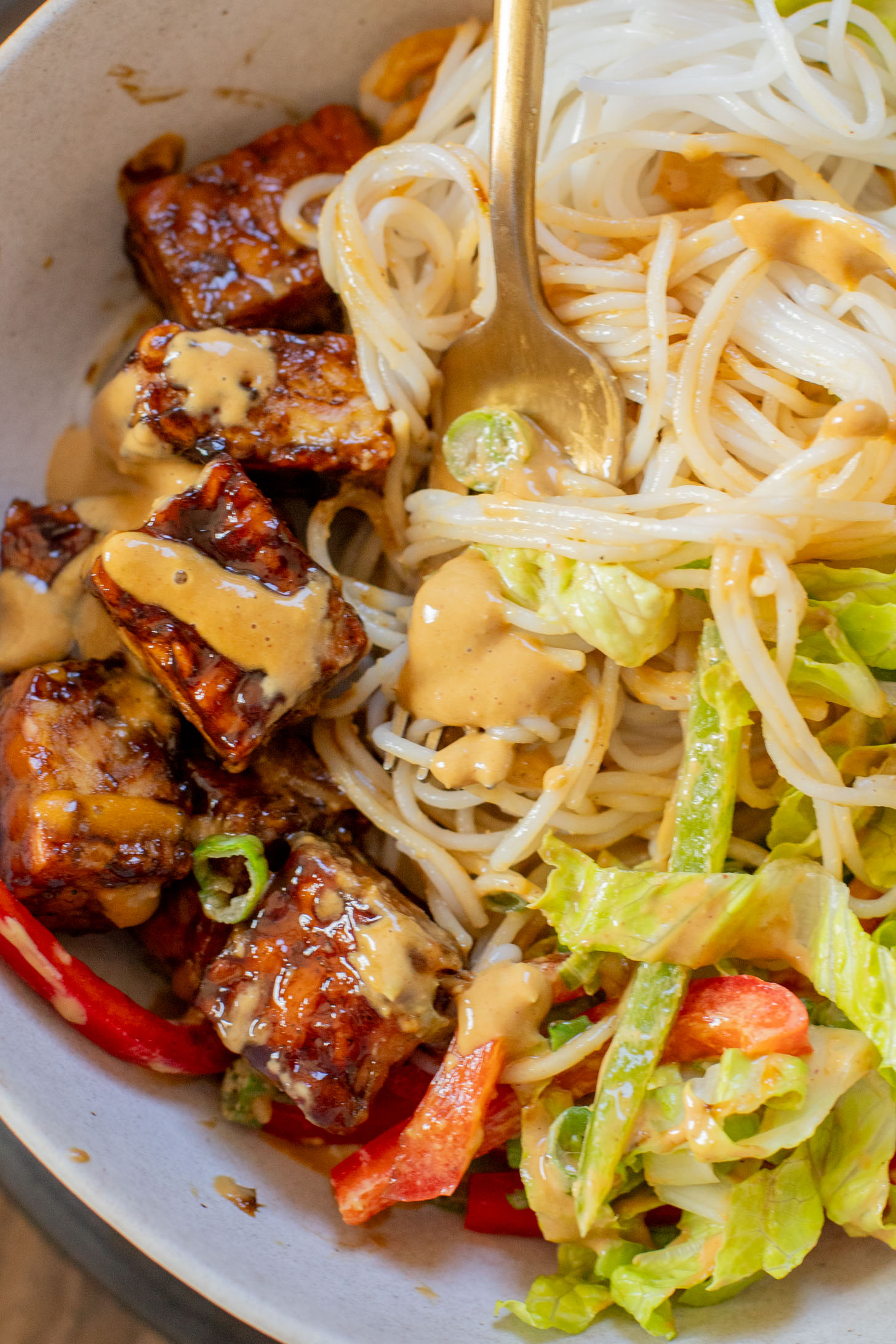 These Hoisin Tempeh Peanut Noodle Bowls are the perfect quick dinner! Crispy tempeh, rice noodles, veggies and the BEST peanut sauce | ThisSavoryVegan.com