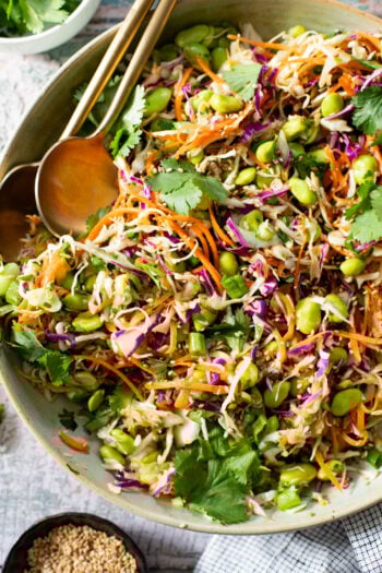 This Miso Sesame Crunch Salad is packed with veggies, including plant protein, and tossed with the best miso dressing that you'll want to put on everything | ThisSavoryVegan.com