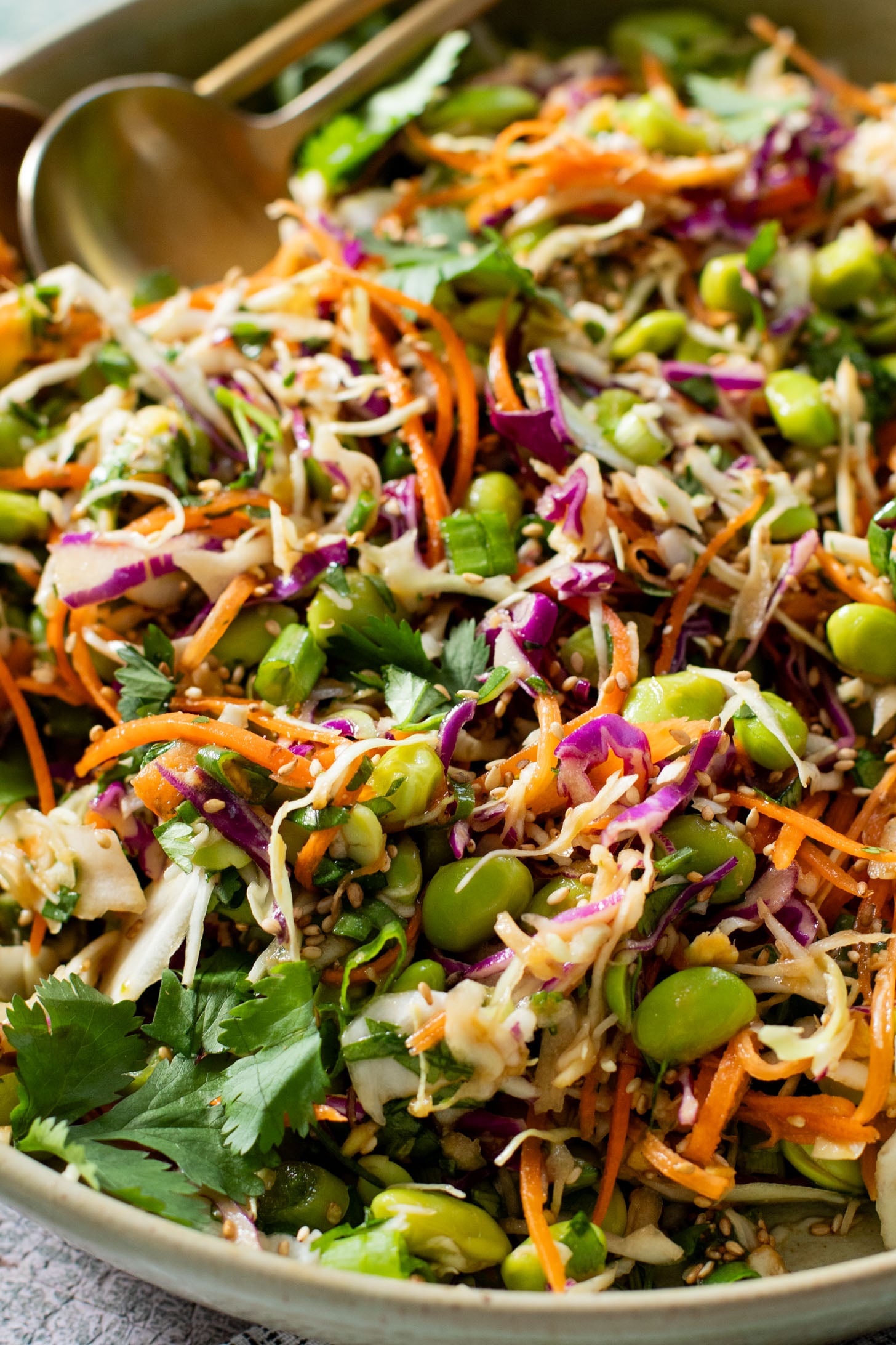 This Miso Sesame Crunch Salad is packed with veggies, including plant protein, and tossed with the best miso dressing that you'll want to put on everything | ThisSavoryVegan.com