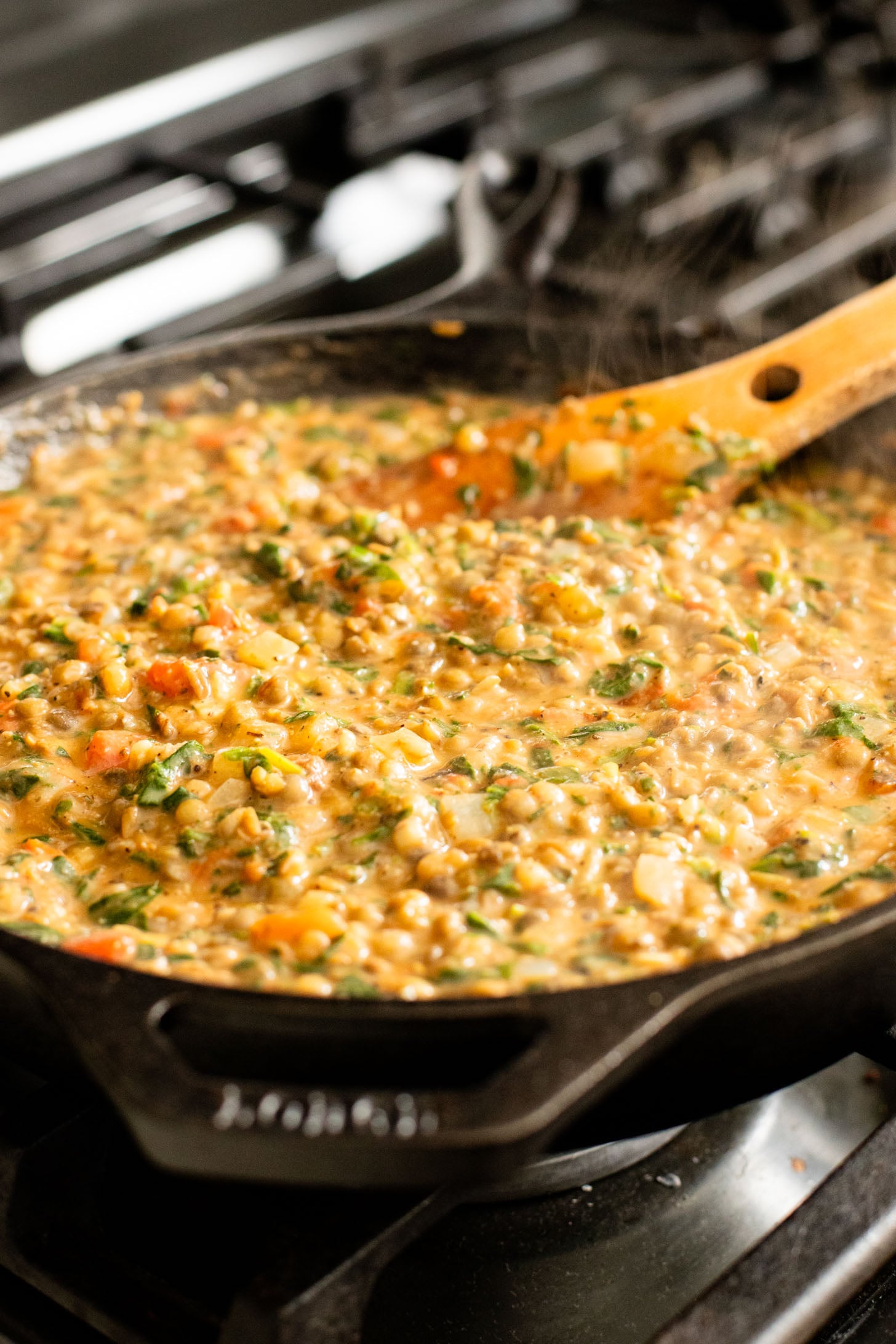 This Lentil & Spinach Skillet is an easy and delicious one-pot dinner that is ready in under an hour! Perfect family dinner | ThisSavoryVegan.com