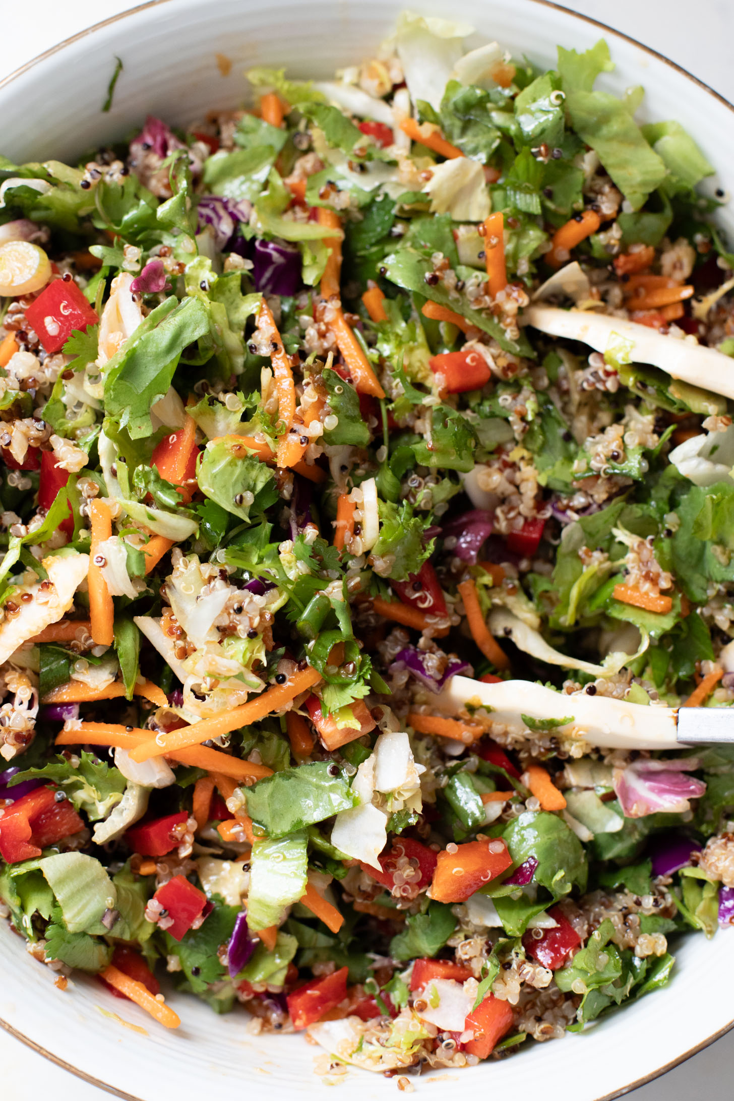This Quinoa Crunch Salad is a quick and delicious lunch or dinner. Made with a simple, homemade asian dressing | ThisSavoryVegan.com