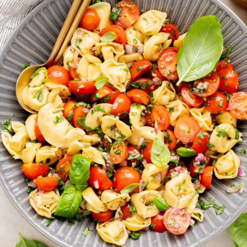 This Tomato Basil Tortellini Salad is made with chilled vegan tortellini, cherry tomatoes, balsamic, garlic & fresh herbs. The perfect summer salad | ThisSavoryVegan.com