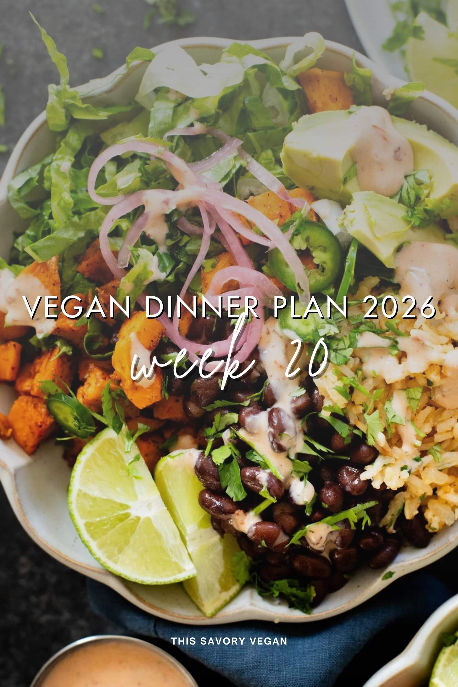 Make your life easier and use my weekly vegan dinner plans! Five nights of vegan dinner recipes and a grocery list released every Saturday | ThisSavoryVegan.com