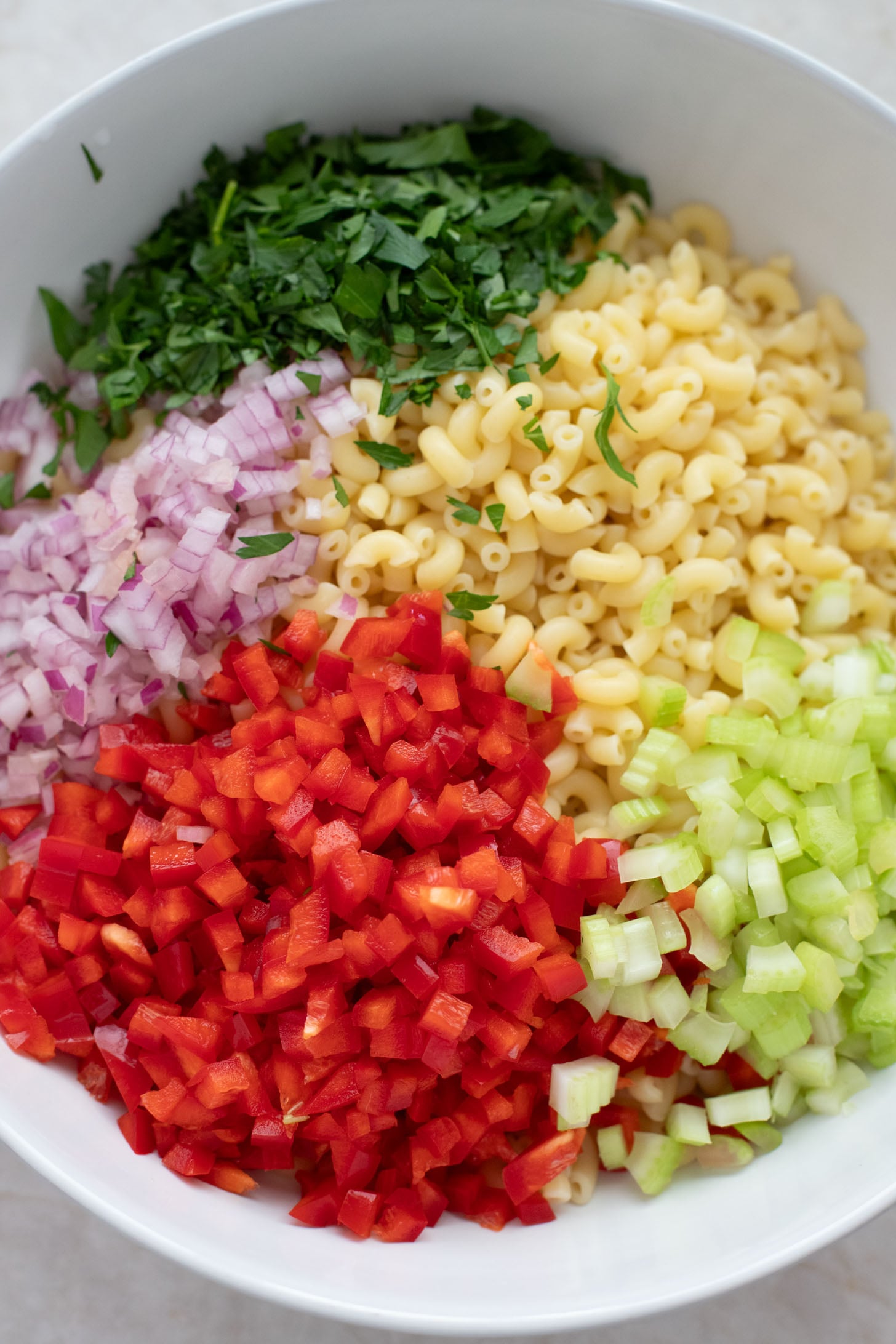 This Vegan Macaroni Salad is a lighter, vegan version of a classic BBQ staple. This is a total crowd pleaser you will want to take to every party | ThisSavoryVegan.com