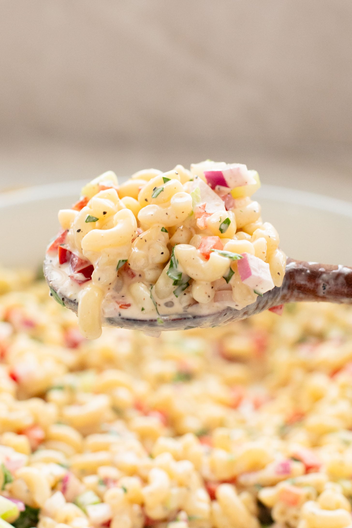 This Vegan Macaroni Salad is a lighter, vegan version of a classic BBQ staple. This is a total crowd pleaser you will want to take to every party | ThisSavoryVegan.com