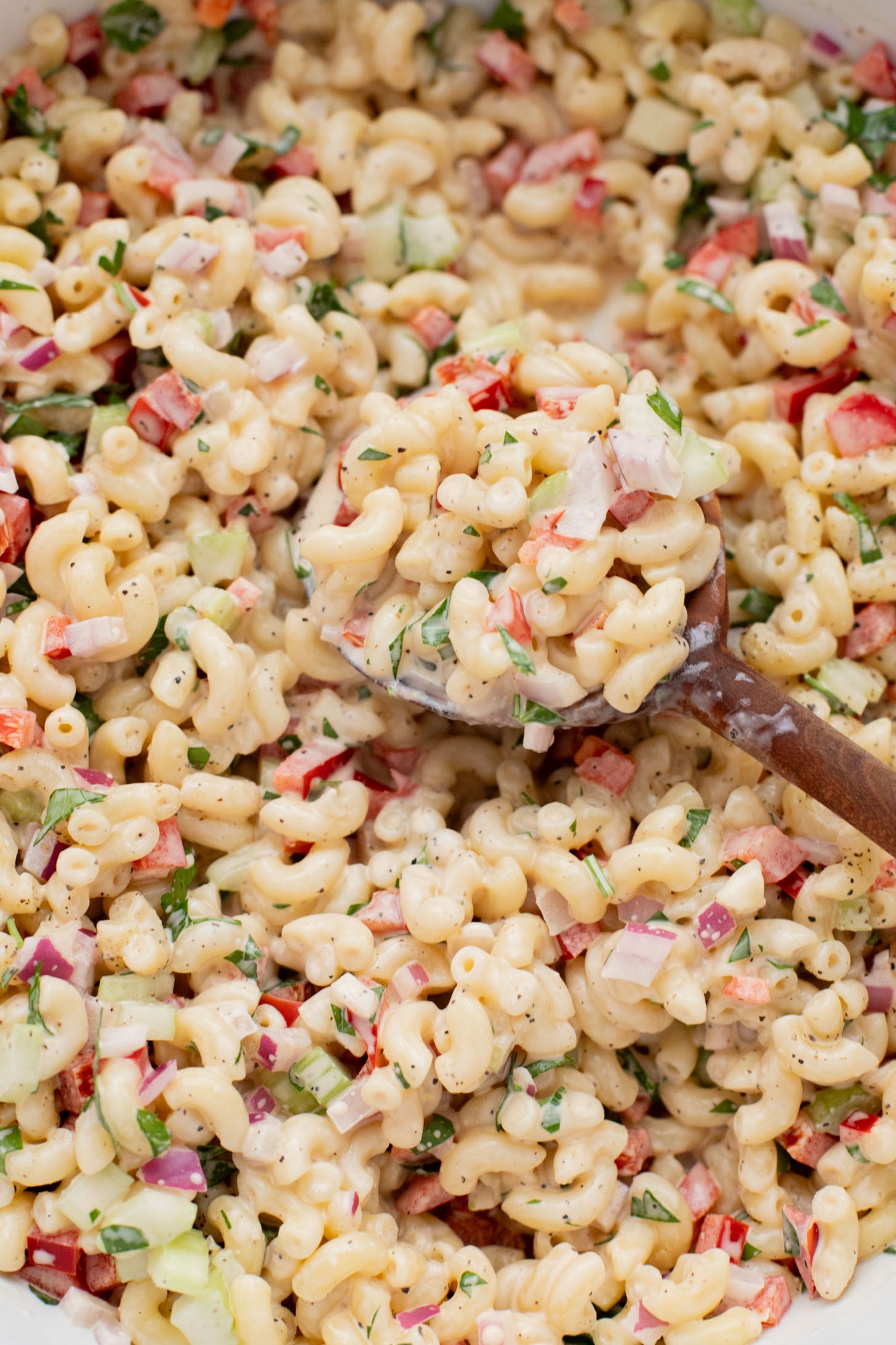 This Vegan Macaroni Salad is a lighter, vegan version of a classic BBQ staple. This is a total crowd pleaser you will want to take to every party | ThisSavoryVegan.com