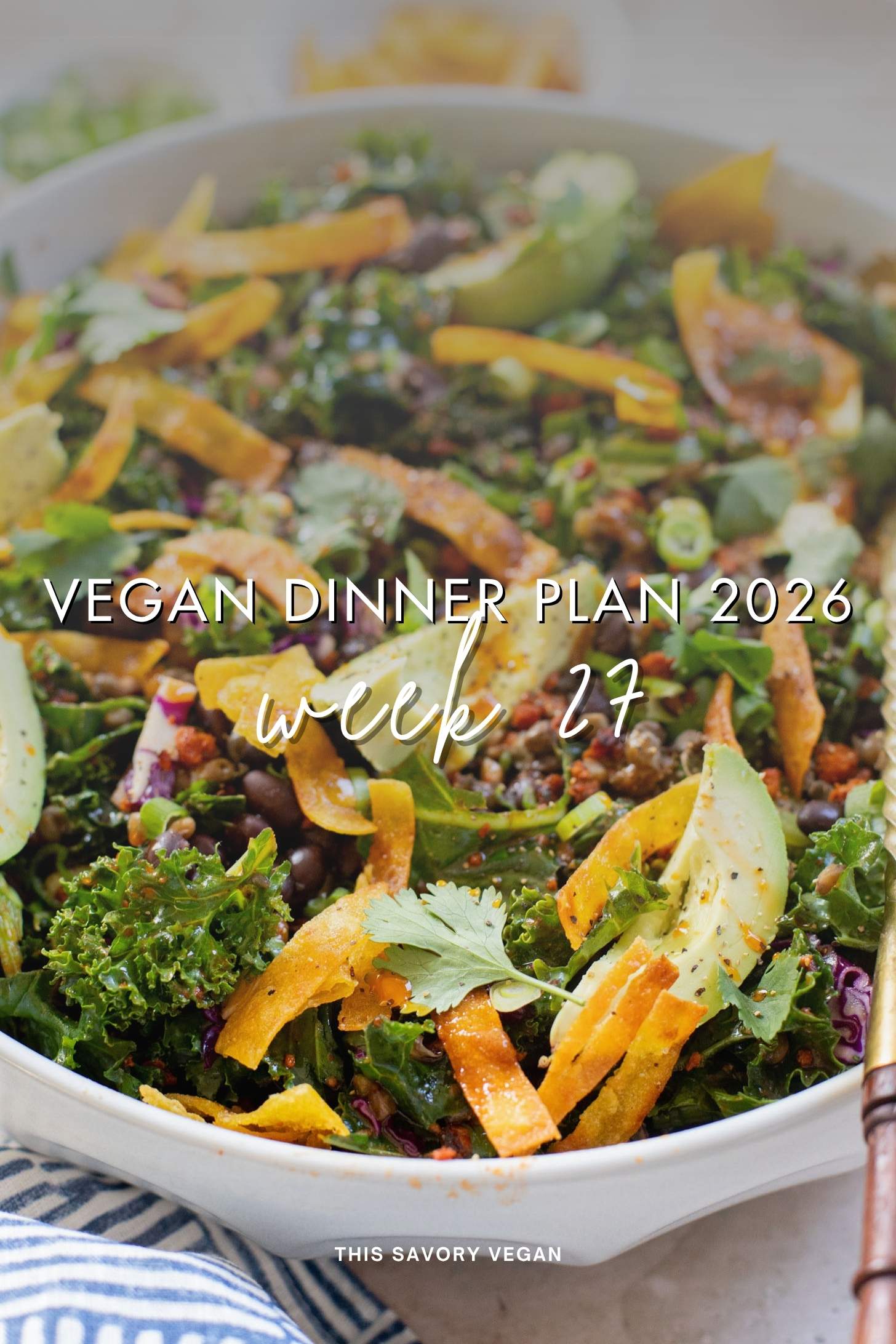 Make your life easier and use my weekly vegan dinner plans! Five nights of vegan dinner recipes and a grocery list released every Saturday | ThisSavoryVegan.com