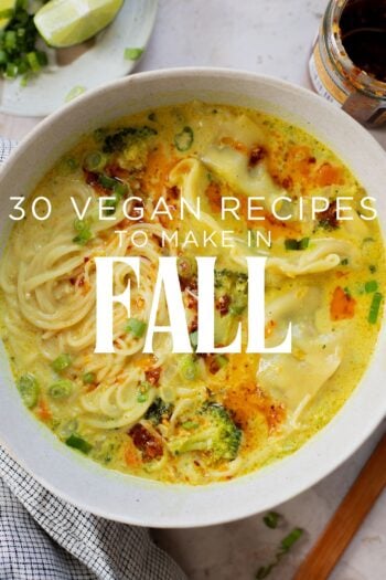 Cooler weather is here, and I've rounded up 30 Vegan Recipes to make in Fall 2026! The best cozy, comforting, delicious vegan recipes | ThisSavoryVegan.com